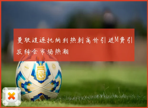 曼联追逐托纳利热刺高价引进M费引发转会市场热潮